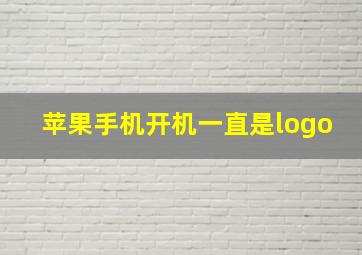 苹果手机开机一直是logo