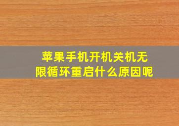 苹果手机开机关机无限循环重启什么原因呢