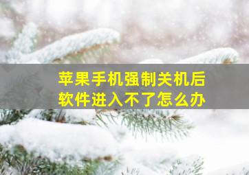 苹果手机强制关机后软件进入不了怎么办