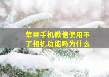 苹果手机微信使用不了相机功能吗为什么