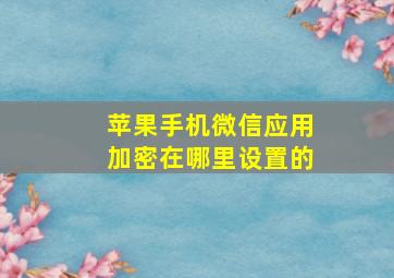 苹果手机微信应用加密在哪里设置的