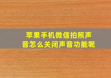 苹果手机微信拍照声音怎么关闭声音功能呢