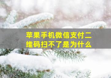 苹果手机微信支付二维码扫不了是为什么