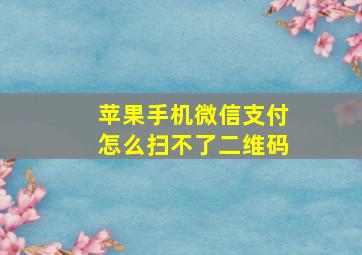 苹果手机微信支付怎么扫不了二维码