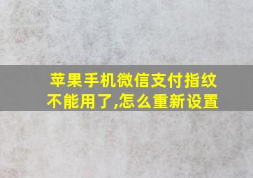 苹果手机微信支付指纹不能用了,怎么重新设置