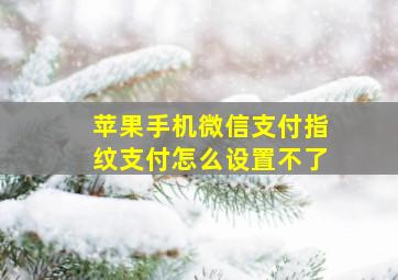 苹果手机微信支付指纹支付怎么设置不了