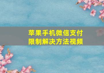 苹果手机微信支付限制解决方法视频