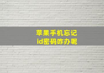 苹果手机忘记id密码咋办呢