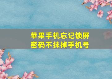 苹果手机忘记锁屏密码不抹掉手机号