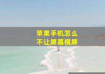 苹果手机怎么不让屏幕横屏