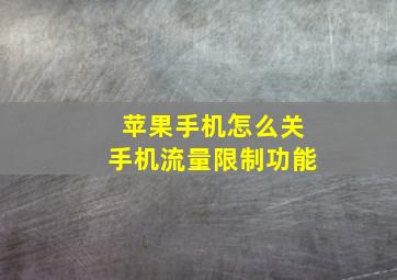 苹果手机怎么关手机流量限制功能