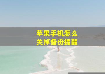 苹果手机怎么关掉备份提醒