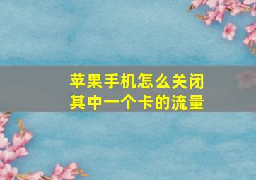 苹果手机怎么关闭其中一个卡的流量