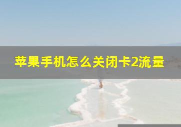 苹果手机怎么关闭卡2流量