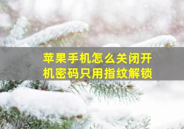 苹果手机怎么关闭开机密码只用指纹解锁