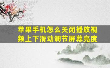 苹果手机怎么关闭播放视频上下滑动调节屏幕亮度