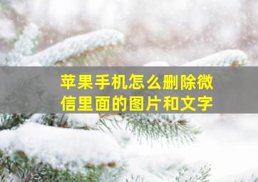 苹果手机怎么删除微信里面的图片和文字