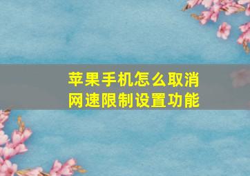 苹果手机怎么取消网速限制设置功能