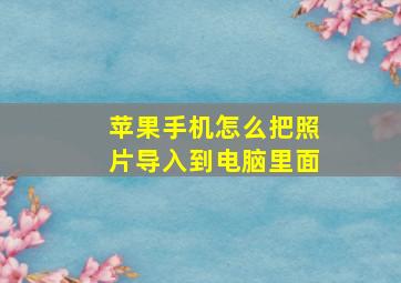 苹果手机怎么把照片导入到电脑里面