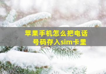 苹果手机怎么把电话号码存入sim卡里