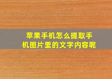 苹果手机怎么提取手机图片里的文字内容呢