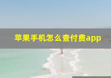 苹果手机怎么查付费app