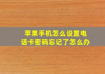 苹果手机怎么设置电话卡密码忘记了怎么办