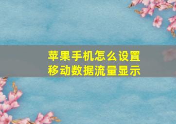 苹果手机怎么设置移动数据流量显示