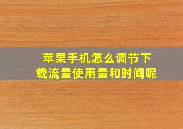 苹果手机怎么调节下载流量使用量和时间呢