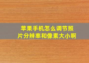 苹果手机怎么调节照片分辨率和像素大小啊