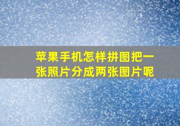 苹果手机怎样拼图把一张照片分成两张图片呢