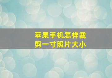 苹果手机怎样裁剪一寸照片大小