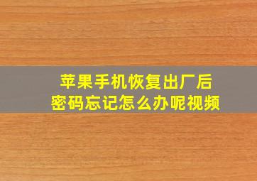 苹果手机恢复出厂后密码忘记怎么办呢视频