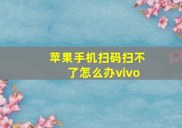 苹果手机扫码扫不了怎么办vivo