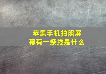 苹果手机拍照屏幕有一条线是什么