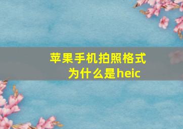 苹果手机拍照格式为什么是heic