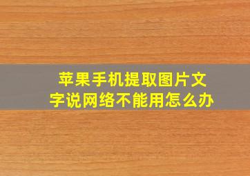 苹果手机提取图片文字说网络不能用怎么办