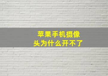 苹果手机摄像头为什么开不了