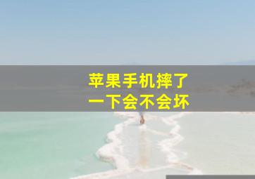 苹果手机摔了一下会不会坏