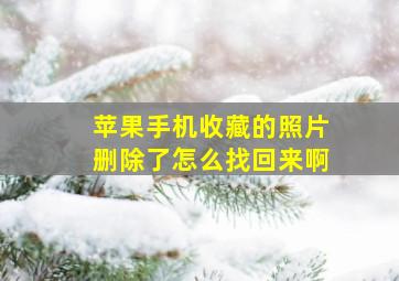 苹果手机收藏的照片删除了怎么找回来啊