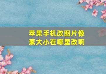 苹果手机改图片像素大小在哪里改啊