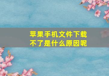 苹果手机文件下载不了是什么原因呢