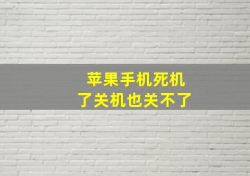 苹果手机死机了关机也关不了