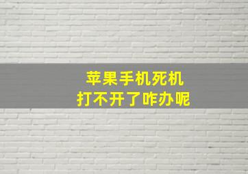 苹果手机死机打不开了咋办呢