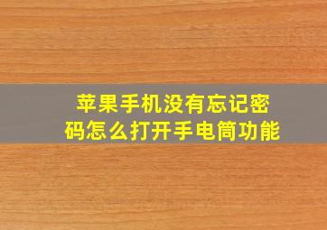 苹果手机没有忘记密码怎么打开手电筒功能