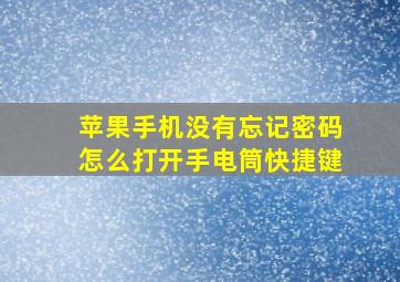 苹果手机没有忘记密码怎么打开手电筒快捷键