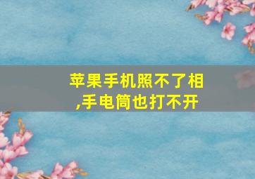 苹果手机照不了相,手电筒也打不开