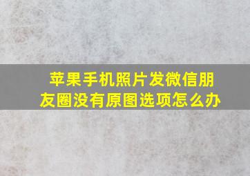 苹果手机照片发微信朋友圈没有原图选项怎么办