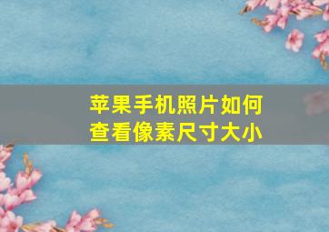 苹果手机照片如何查看像素尺寸大小