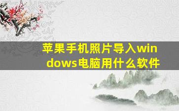 苹果手机照片导入windows电脑用什么软件